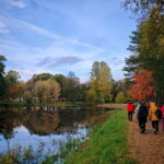 Private Forest Mind Tour in Tampere - Meeting Point at Rauhaniemi Sauna Carpark