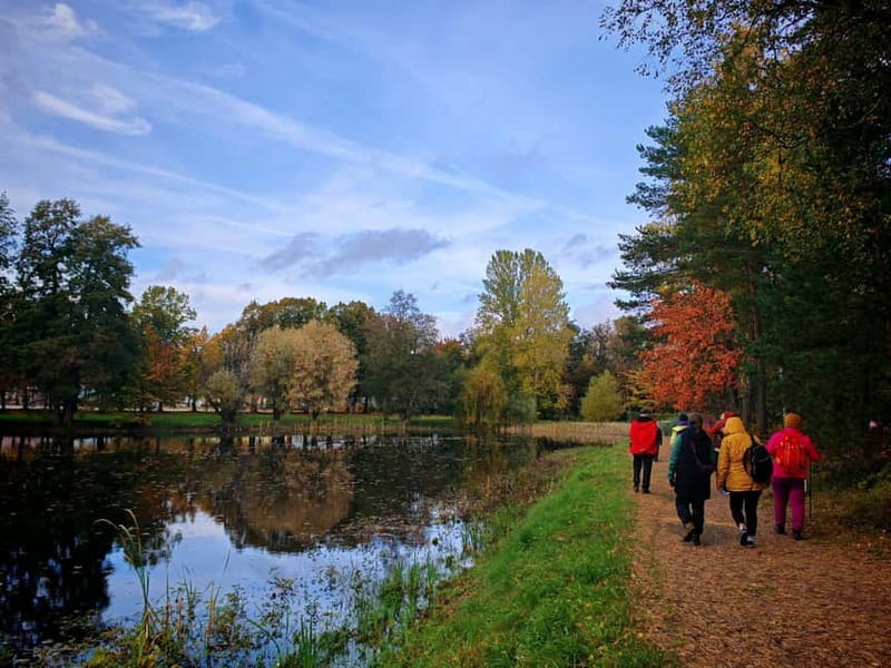 Private Forest Mind Tour in Tampere - Meeting Point at Rauhaniemi Sauna Carpark