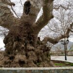 Private Full-Day Knossos-Lasithi Plateau-Cave of Zeus - Walking Through Krasi and the 2400-Year-Old Plane Tree