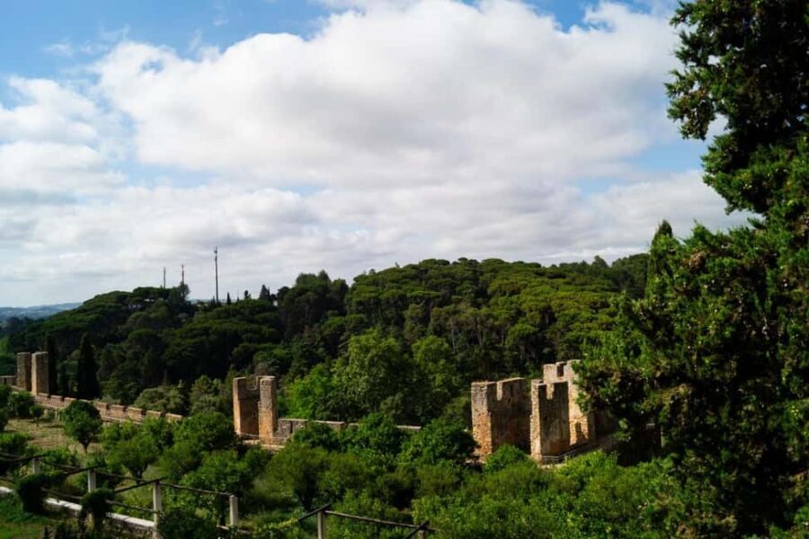 Private Full-Day Tomar Tour with Local Guide + Lunch - Inside the Convent of Christ: Secrets and Symbols