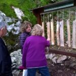 Private Full-Day Tour in Moraca and Tara Canyons, Durmitor & Biogradska Gora NP - Taking in Nature at Biogradska Gora