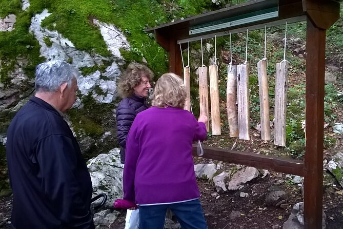 Private Full-Day Tour in Moraca and Tara Canyons, Durmitor & Biogradska Gora NP - Taking in Nature at Biogradska Gora