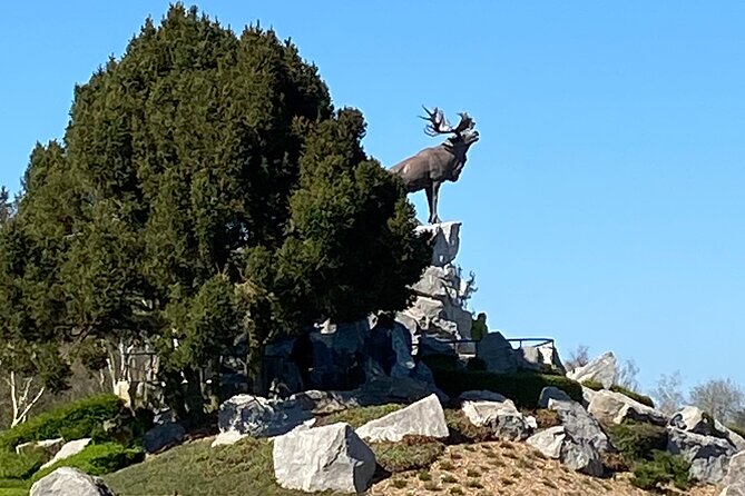 Private Full Day Tour of the Somme Battlefields - Guide Expertise and Personalization Capabilities
