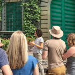 PRIVATE Full-Day Wine Experience in Chianti Classico. - Exploring the Medieval Charm of Montefioralle