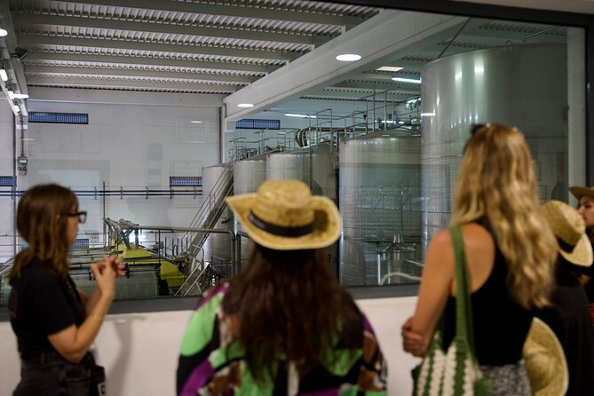 Private Full Day Wine Tasting Tour from Lisbon to Setubal - First Stop: Tasting Artisanal Wines at Filipe Palhoca