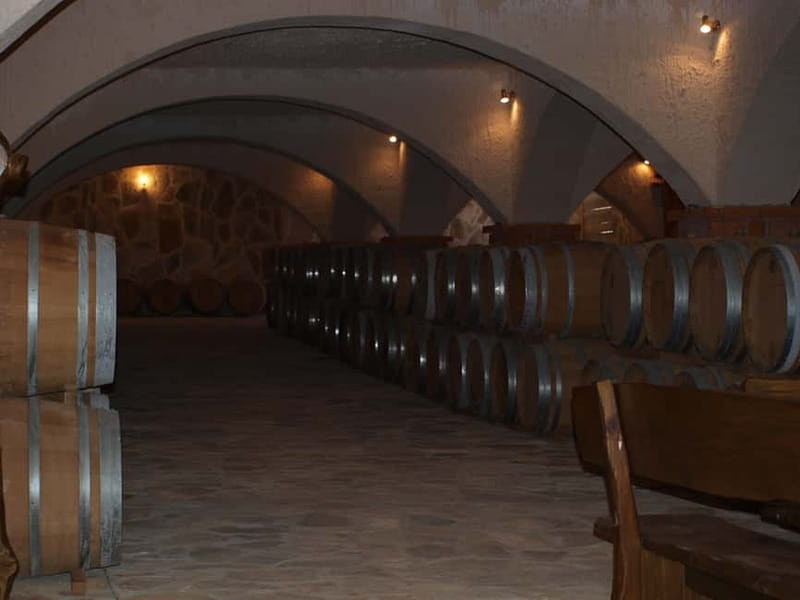 Private Full-Day Wine Tour from Dubrovnik to Peljesac - Exploring the Vineyards of Peljesac