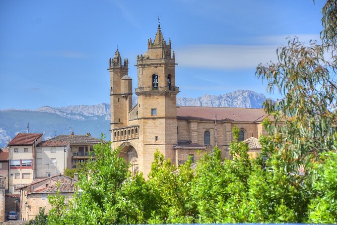 Private Full Day Wine Tour in Rioja - Beginning at Pamplona: Pickup and Logistics