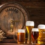 Private German Beer Tasting Tour in Hamburg Old Town - Starting Point in Hamburg’s Old Town: Lessing-Denkmal