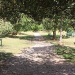 Private Guided Grantchester 2-Hour Tour of TV Locations - Behind the Scenes at The Cambridge Distillery