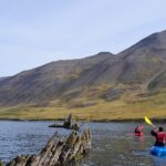 Private: Guided kayak tour in Siglufjörður / Siglufjordur. - Exploring Siglufjörður’s Marine Life and Landmarks