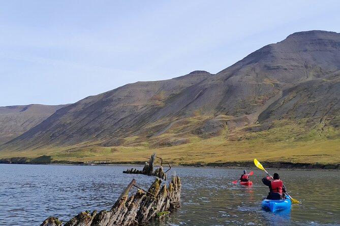 Private: Guided kayak tour in Siglufjörður / Siglufjordur. - Exploring Siglufjörður’s Marine Life and Landmarks