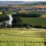 Private Guided Tour in Champagne from Paris with Moet&Chandon visit. - Exploring a Family-Owned Independent Champagne Producer