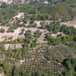 Private Guided Tour of Ancient Olympia - Walk the Legendary Original Olympic Stadium