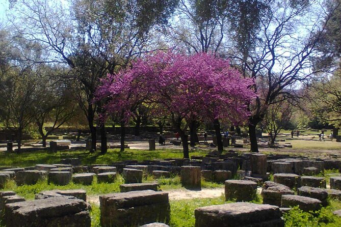 Private Guided Tour of the Archaeological Site and Museum of Olympia - The Starting Point at the Archaeological Site of Olympia
