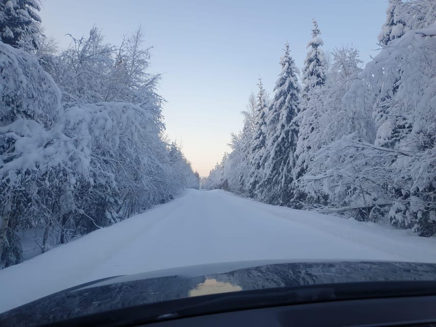 Private Guided Tour Rovaniemi To Kakslauttanen /Saariselka - From Rovaniemi to the Magical Kakslauttanen Arctic Resort