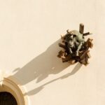 Private Guided Tour to Discover and Shoot the Iconic Places of Turin - The Murazzi del Po: Turin’s Riverside Strolling Spot