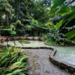Private Guided Tour to Furnas and thermal baths. - Exploring Parque Terra Nostra’s Botanical Gardens and Thermal Pool