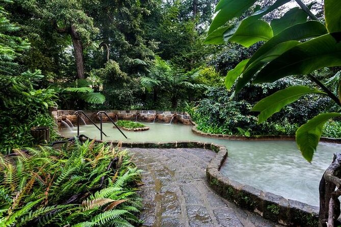 Private Guided Tour to Furnas and thermal baths. - Exploring Parque Terra Nostra’s Botanical Gardens and Thermal Pool