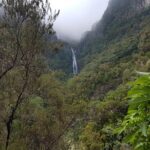 Private Guided Walk Levada 25 Fontes - Walking the Levada: What to Expect on the Trail
