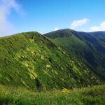 Private Half-Day Hike around the Caldeira - Walking Through Faials Iconic Caldeira