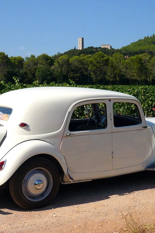 Private Half-Day Tour of the French Riviera in a Vintage Car - Customizable Itinerary and Top Destinations