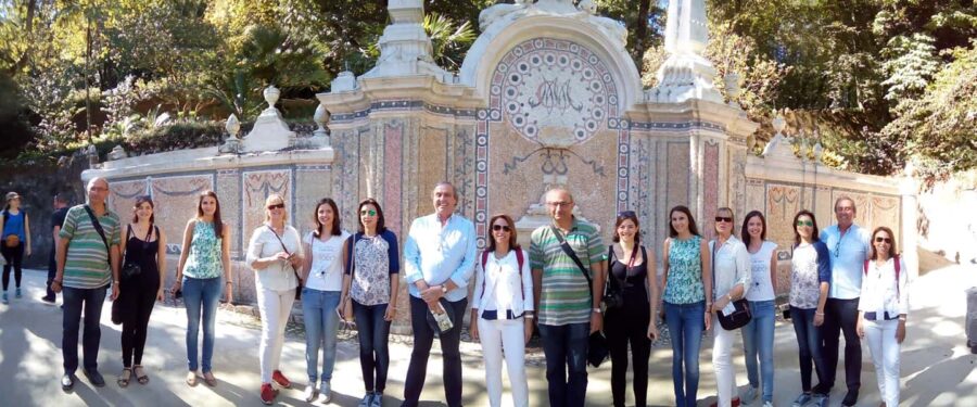 Private Half Day tour Sintra Pena Palace & Initiantion Well - Starting Point and Convenient Pickup Options