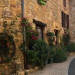 Private half-day tour to Golden Stone Beaujolais with tastings - Saint-Laurent-dOingt: Wine Tasting in the Vineyards