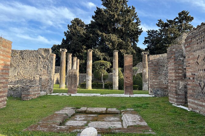 Private Half Day Tour to the Ruins of Pompeii - Visiting the Pompeii Archaeological Park