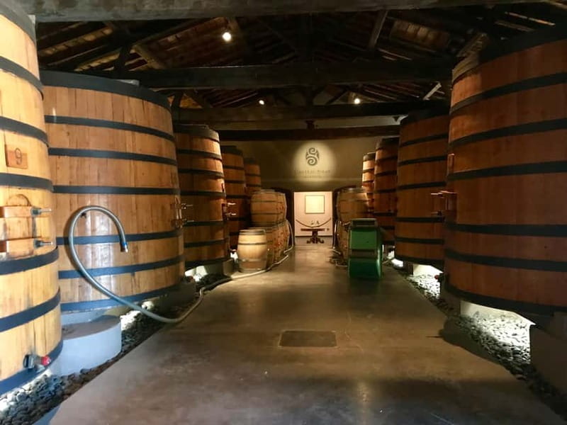 Private Half-Day Wine Tour in Citroën 2CV - Unique Vehicles and Scenic Drive in Bordeaux’s Countryside