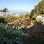 Private Halfday Madeira Garden Tour - Exploring Madeira Botanical Garden