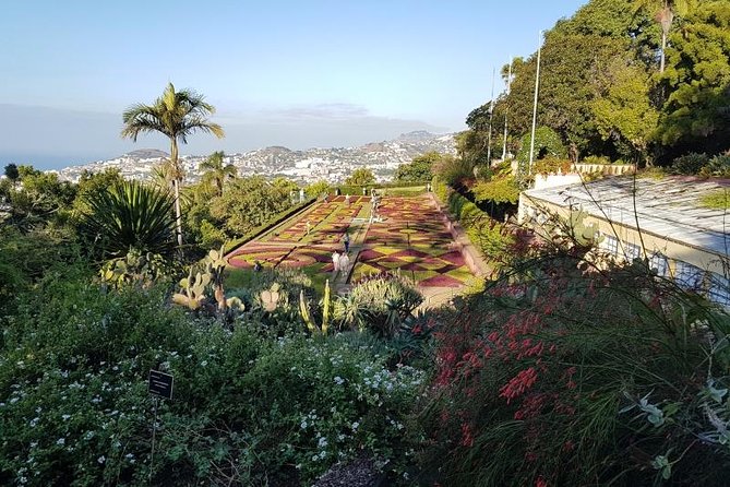 Private Halfday Madeira Garden Tour - Exploring Madeira Botanical Garden