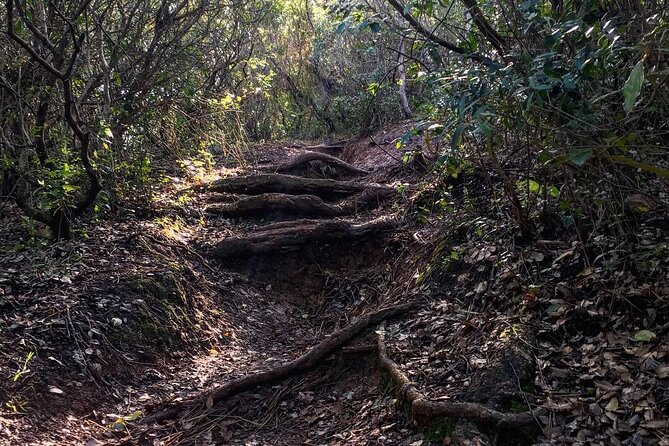 Private Hiking Adventure at Arrábida Mountain - Climbing Alto do Formosinho for 360° Views