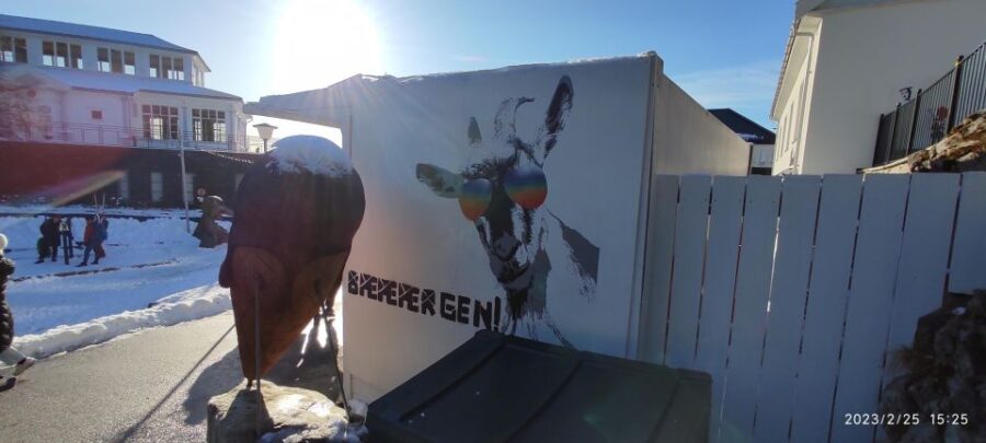 Private hiking tour Bergen mountains like a local - Exploring Mount Floyen’s Iconic Lookout Point