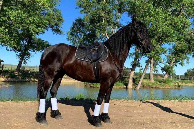 Private Horse Ridding tour - What to Expect from the Horse Riding Activity