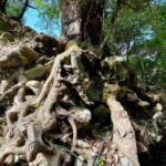 Private Imbros Gorge Hiking Tour with Lunch Askifou Village - Hiking Imbros Gorge: An 8 km Rocky Descent