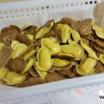 Private Irpinia Gourmet Tour from POSITANO, PRAIANO or AMALFI - Starting Point and Logistics of the Tour from Positano