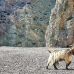 Private Jeep Tour to Agiofarago Beach to swim & Matala walk - Start at Odigitria Monastery and Experience Crete’s Spiritual Heart