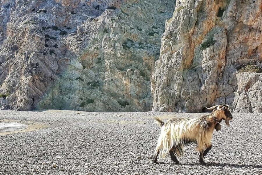 Private Jeep Tour to Agiofarago Beach to swim & Matala walk - Start at Odigitria Monastery and Experience Crete’s Spiritual Heart
