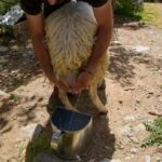 Private Jeep Tour to Viannos, Omalos Forest & Myrtos Beach - Discover the Village of Viannos and Its Local Charms