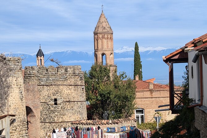 Private Kakheti Tour organic Wine Tasting with Lunch - Visiting the Modern Winery for European-Style Wines