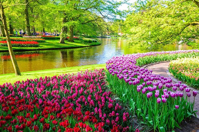 Private Keukenhof Tulip Fields Tour From Amsterdam(Skip-The-Line) - Exploring Keukenhof Gardens at Your Own Pace