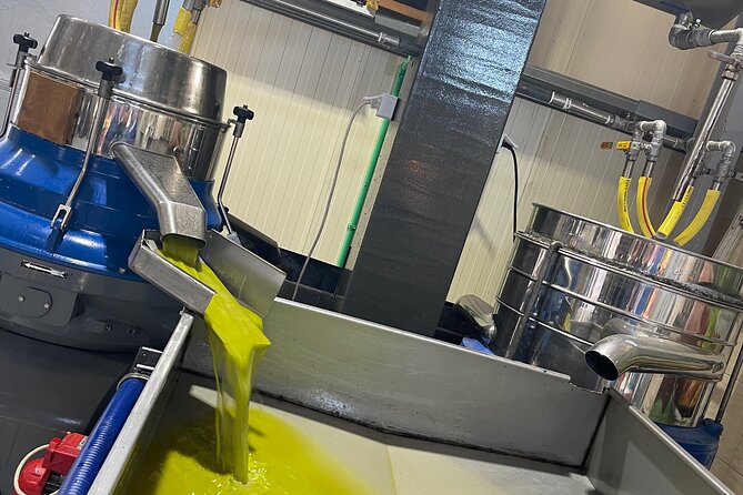 PRIVATE-Knossos-Winery-Olive Oil Factory-Traditional Villages - Visiting Omalia Olive Press for Olive Oil Insights