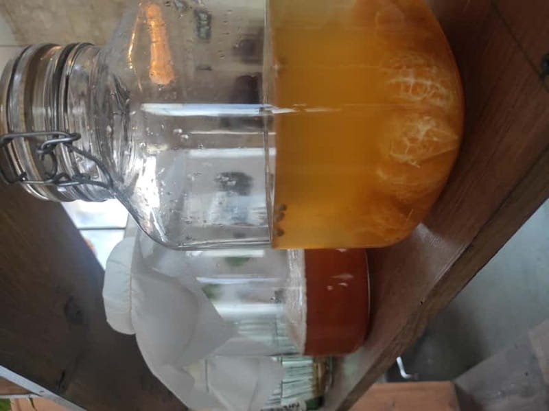 Private Kombucha Making Workshop in Cyprus - The “Brew Your Own Kombucha at Home” Booklet