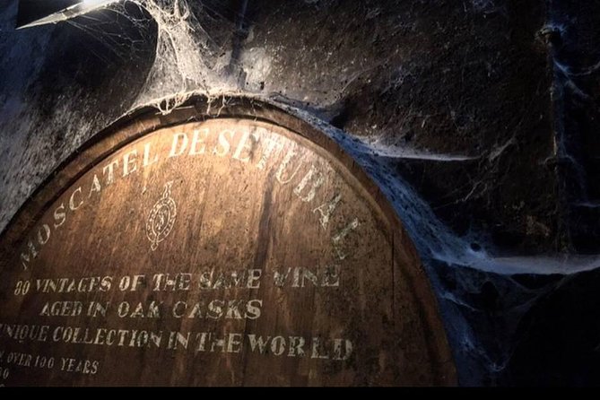 Private Lisbon Arrábida Wine Tour: Scenery, Food & Wines - Visiting Mercado do Livramento, One of the World’s Best Markets