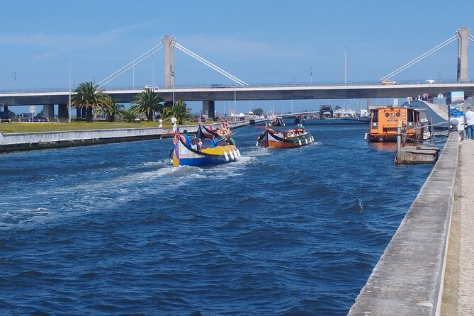 Private Lisbon to Porto tour - Scenic Stops - Electric Vehicle - Exploring Obidos: A Medieval Town with Timeless Walls