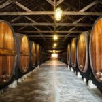 Private Lisbon wine tasting tour in the Setubal region - Visiting the Cristo Rei Sanctuary and Lisbon Overlook