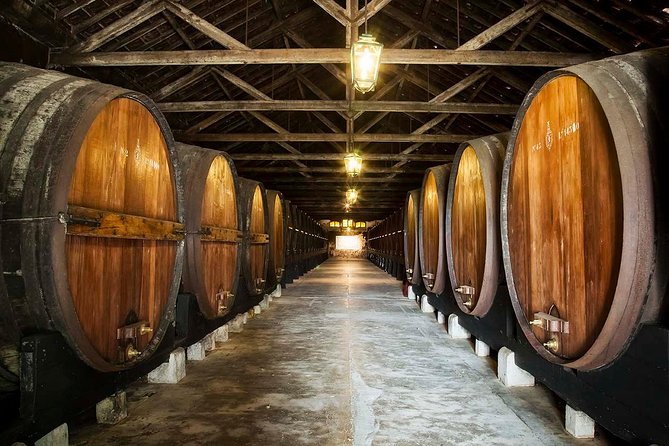 Private Lisbon wine tasting tour in the Setubal region - Visiting the Cristo Rei Sanctuary and Lisbon Overlook