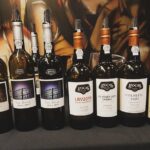 Private Lisbon Wine Tasting Trip to the Setubal Region with Hotel Pick-Up - Discovering the Legacy at José Maria da Fonseca Winery