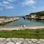 Private luxury tour of Belfast & giants causeway - Starting Point: Central Belfast for Maximum Convenience