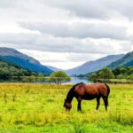 Private Luxury Tour of The Highlands and Loch Ness From Glasgow - Glencoe’s Breathtaking Views and Photo Opportunities